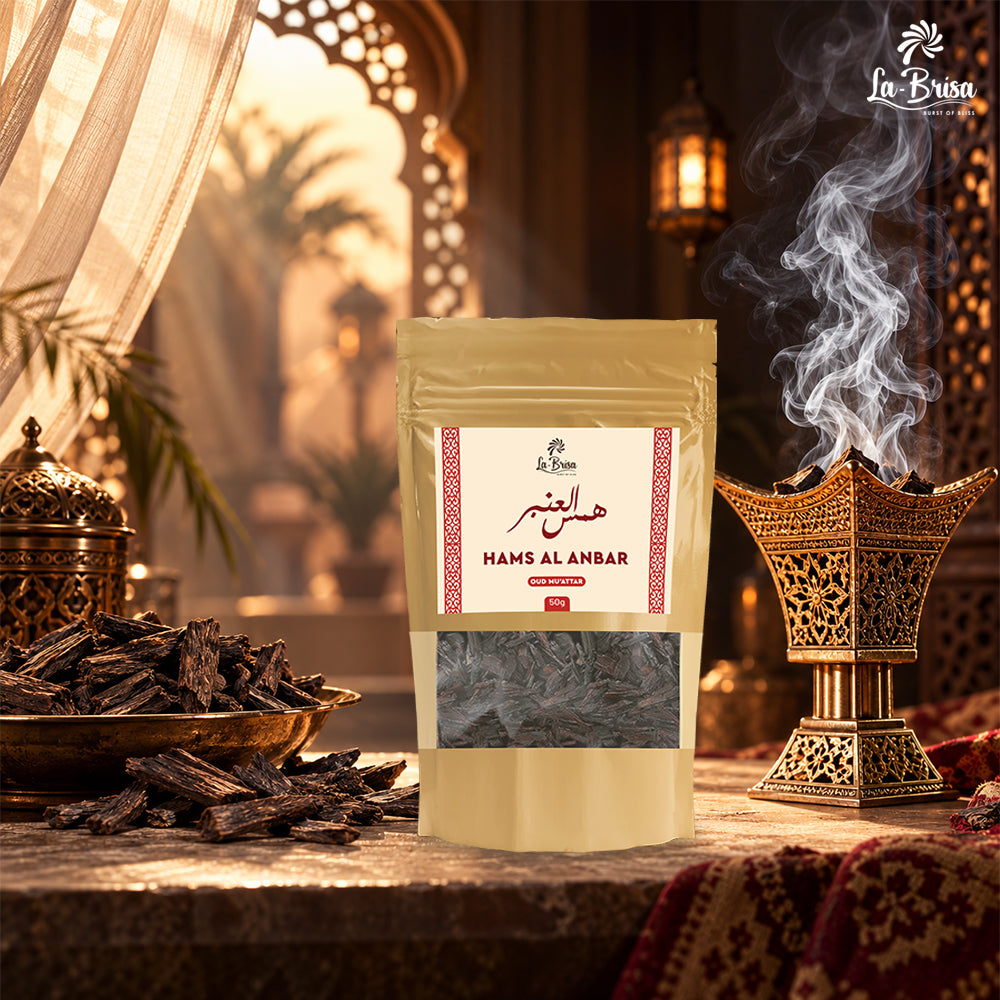 Hams Al Anbar Arabian bakhoor incense lifestyle image